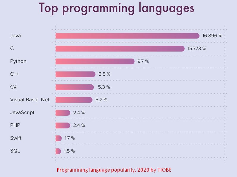 Most Search Language 2020